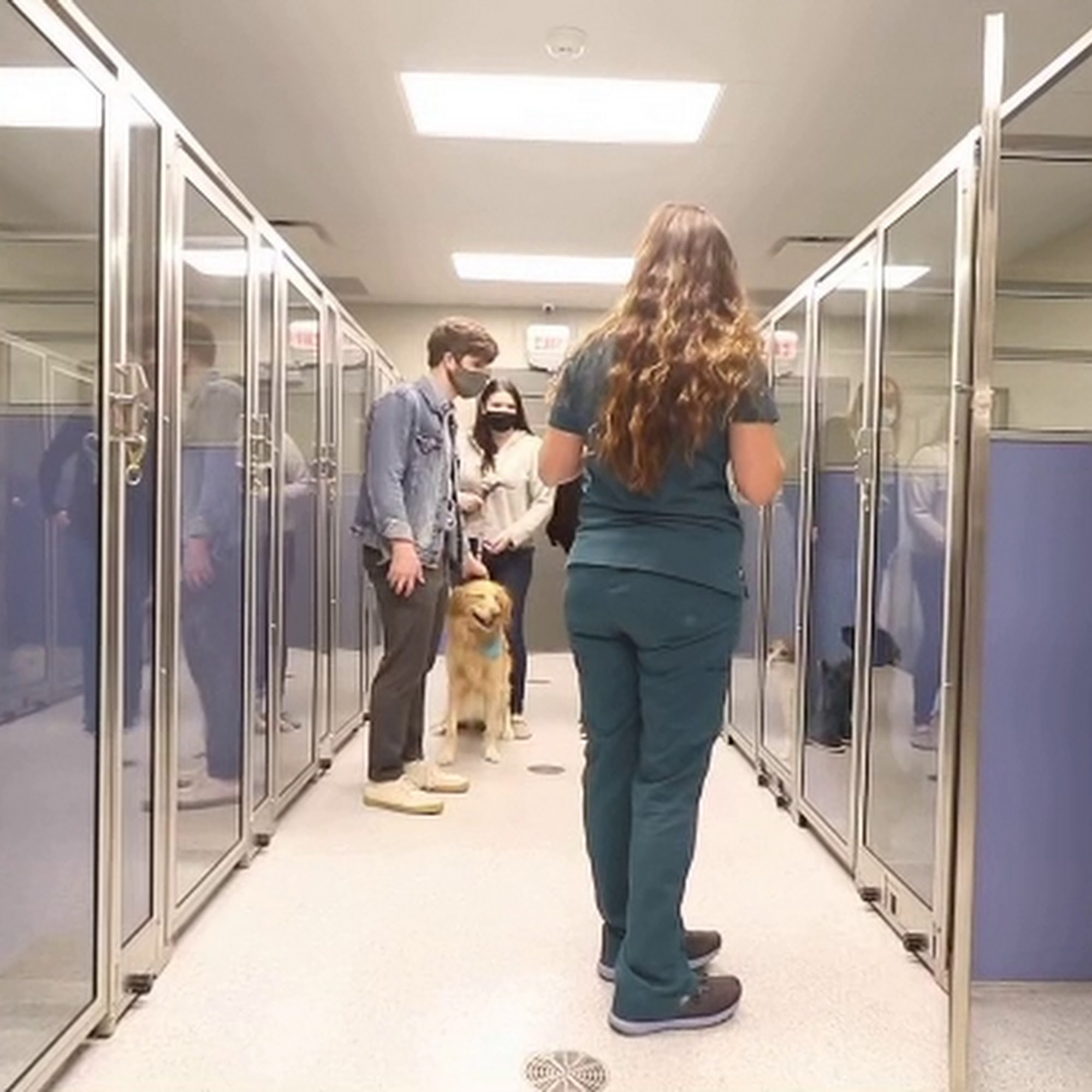 Pleasant Valley Veterinary Clinic Little Rock