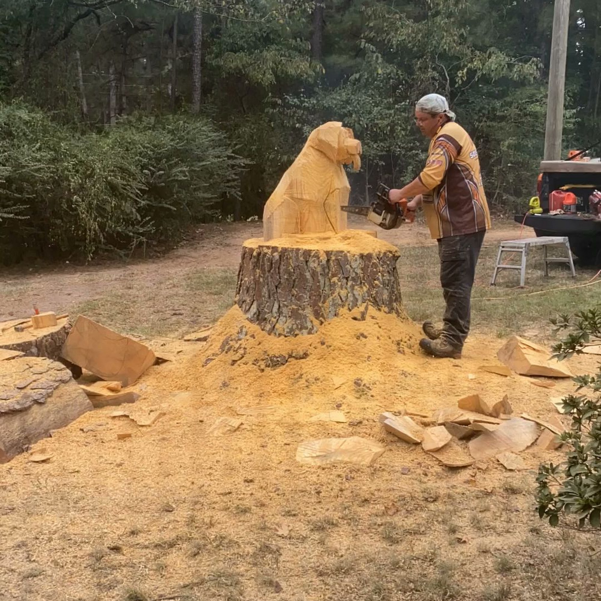 Landmark Animal Hospital Little Rock