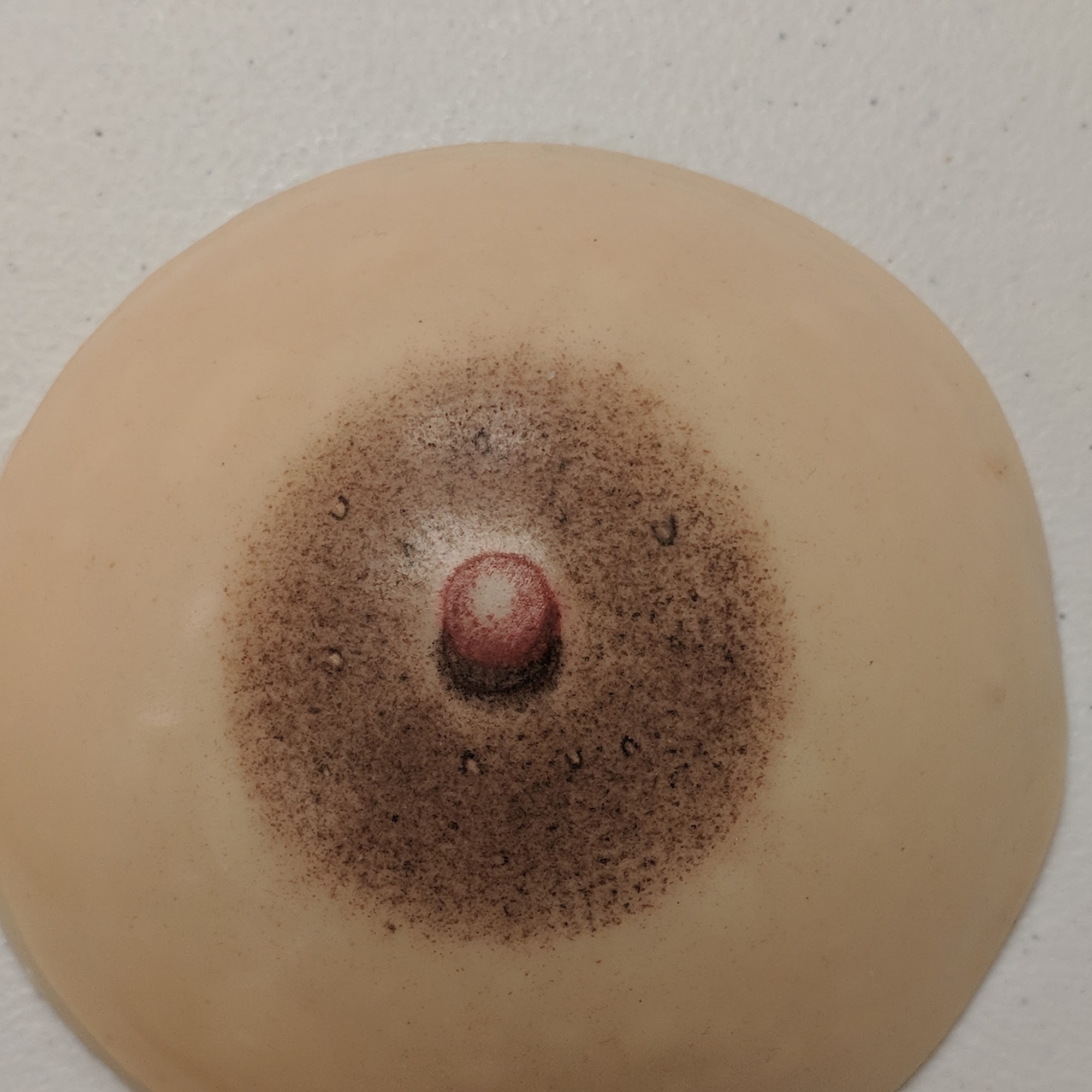 EK Professionals Permanent Cosmetics & Tattoo Institute 11908 Kanis Rd Suite G-6, Little Rock Arkansas 72211