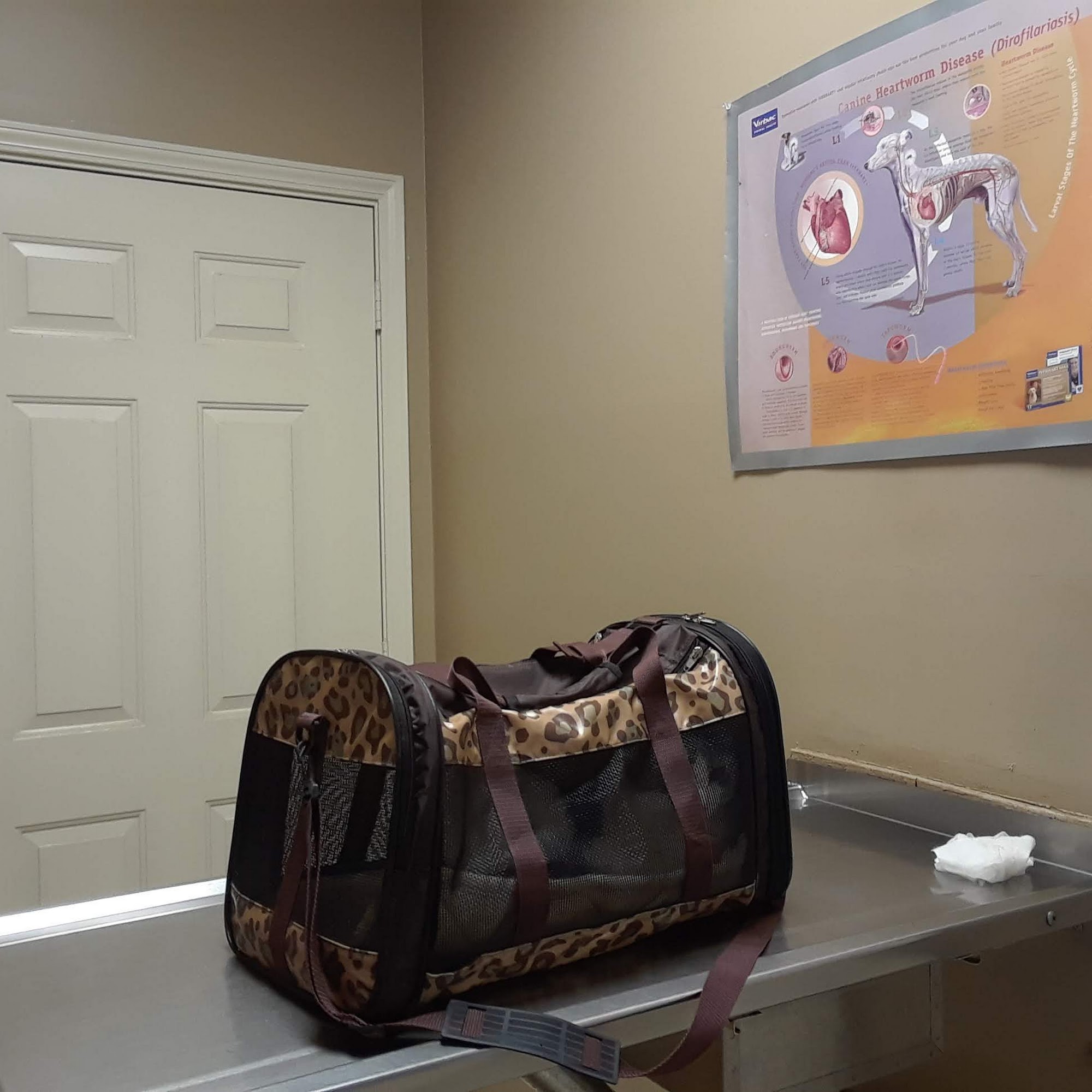 Lonoke Animal Hospital Lonoke