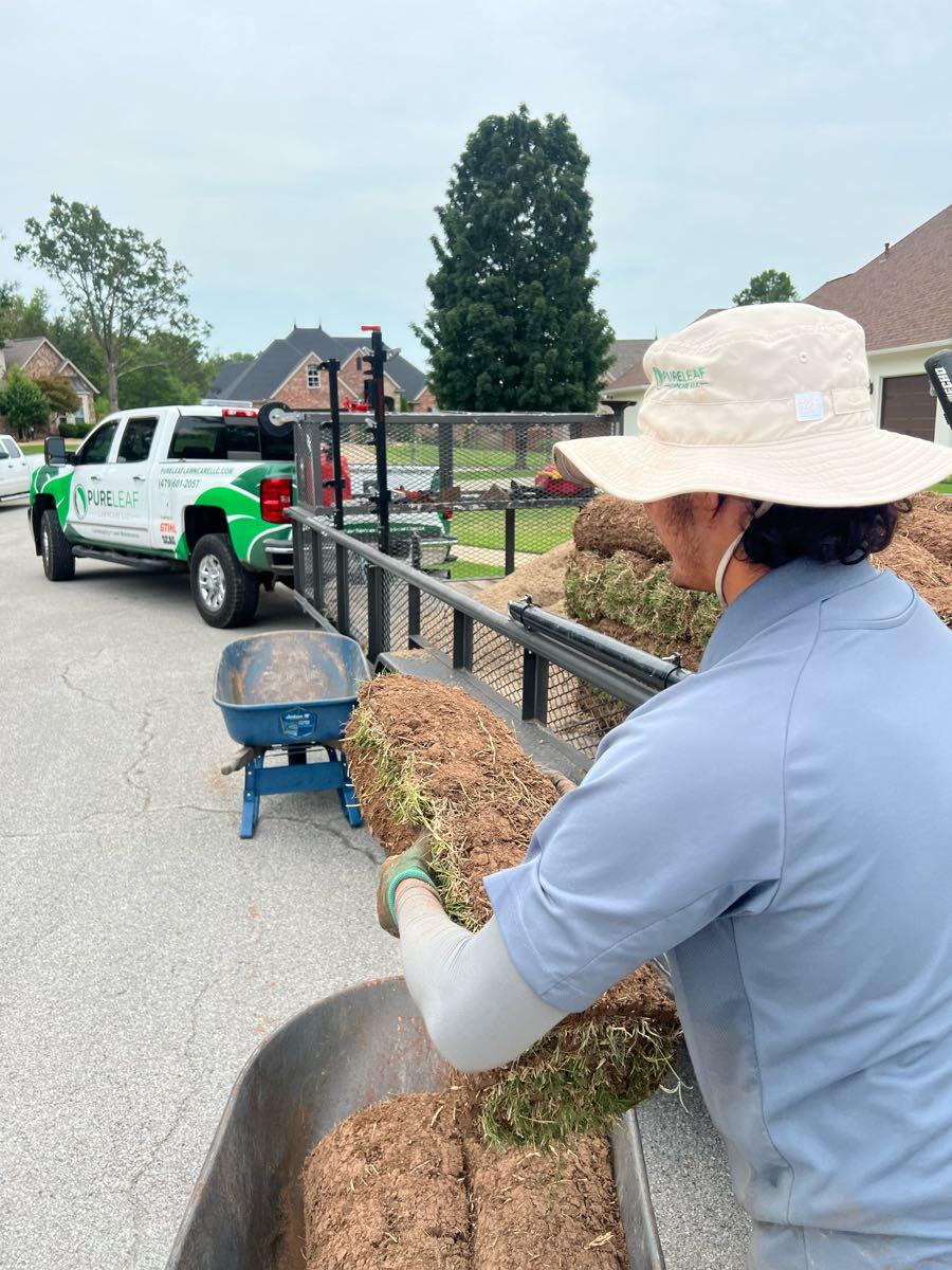 Photo credit: nextdoor