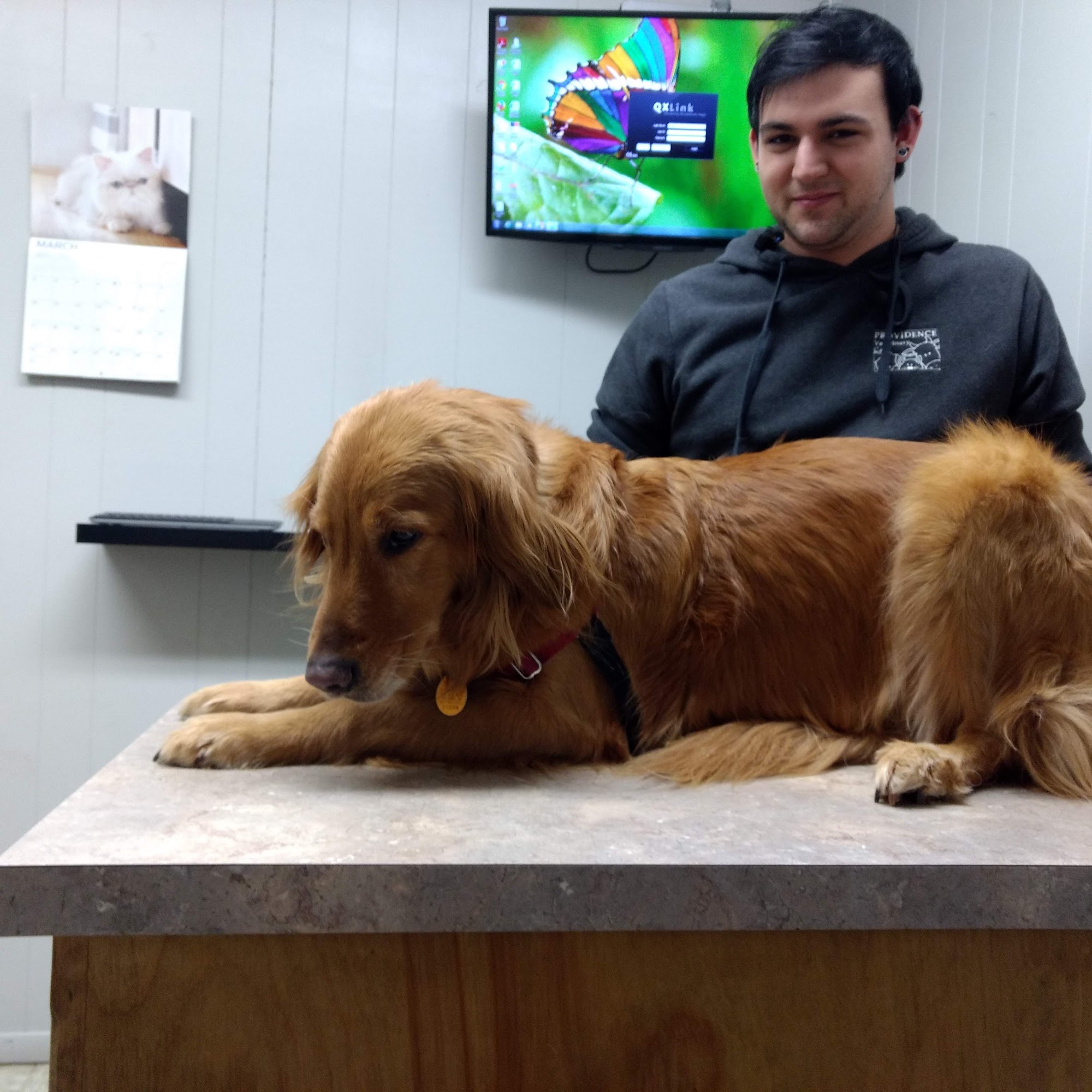 Providence Veterinary Care: Chris Nelson DVM Malvern