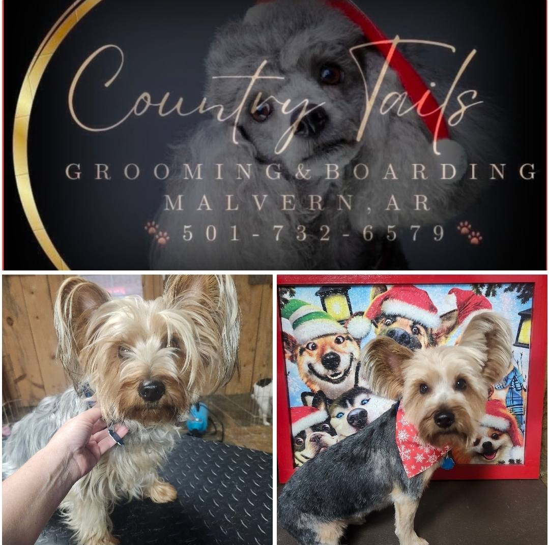 Country Tails Grooming & Boarding Malvern