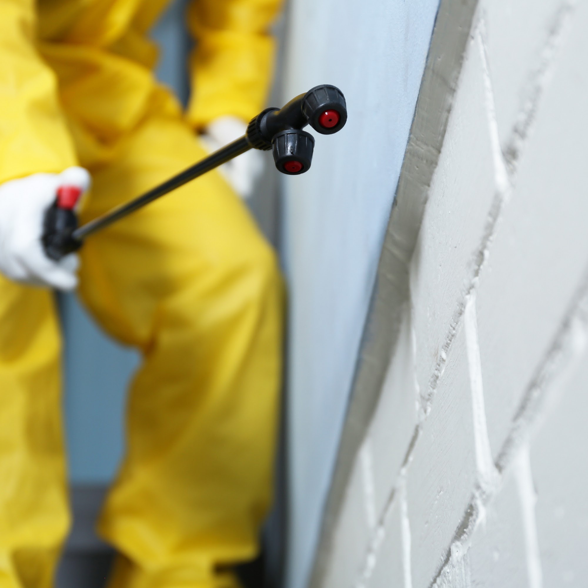 Elkins Pest Control Inc