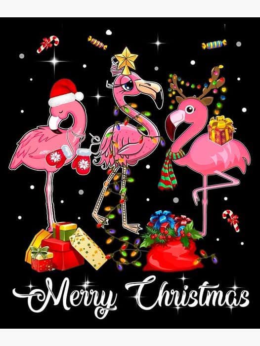 Shear Obsession 93 Eagle Gap Ave, Mena Arkansas 71953