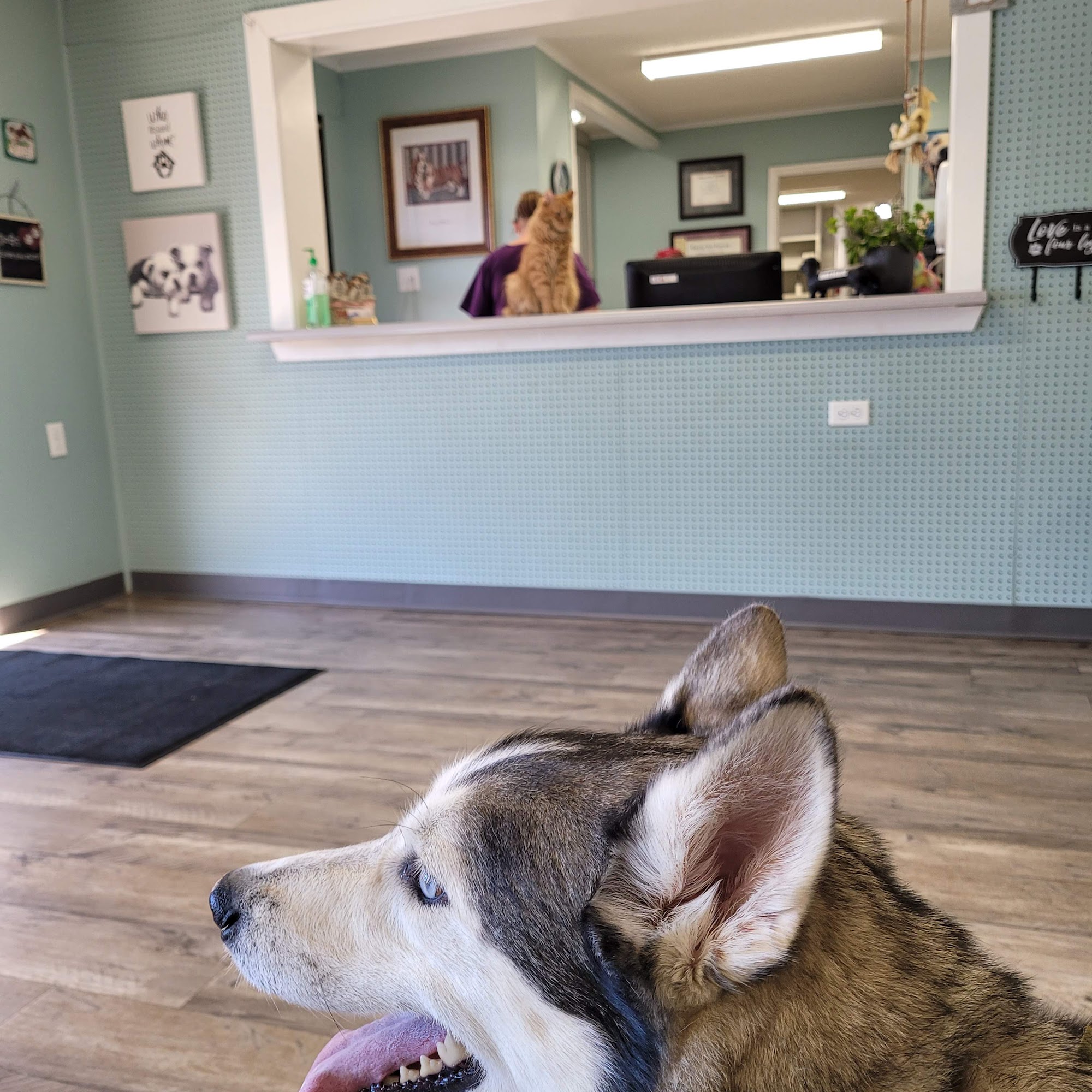 Eubanks Veterinary Clinic North Little Rock