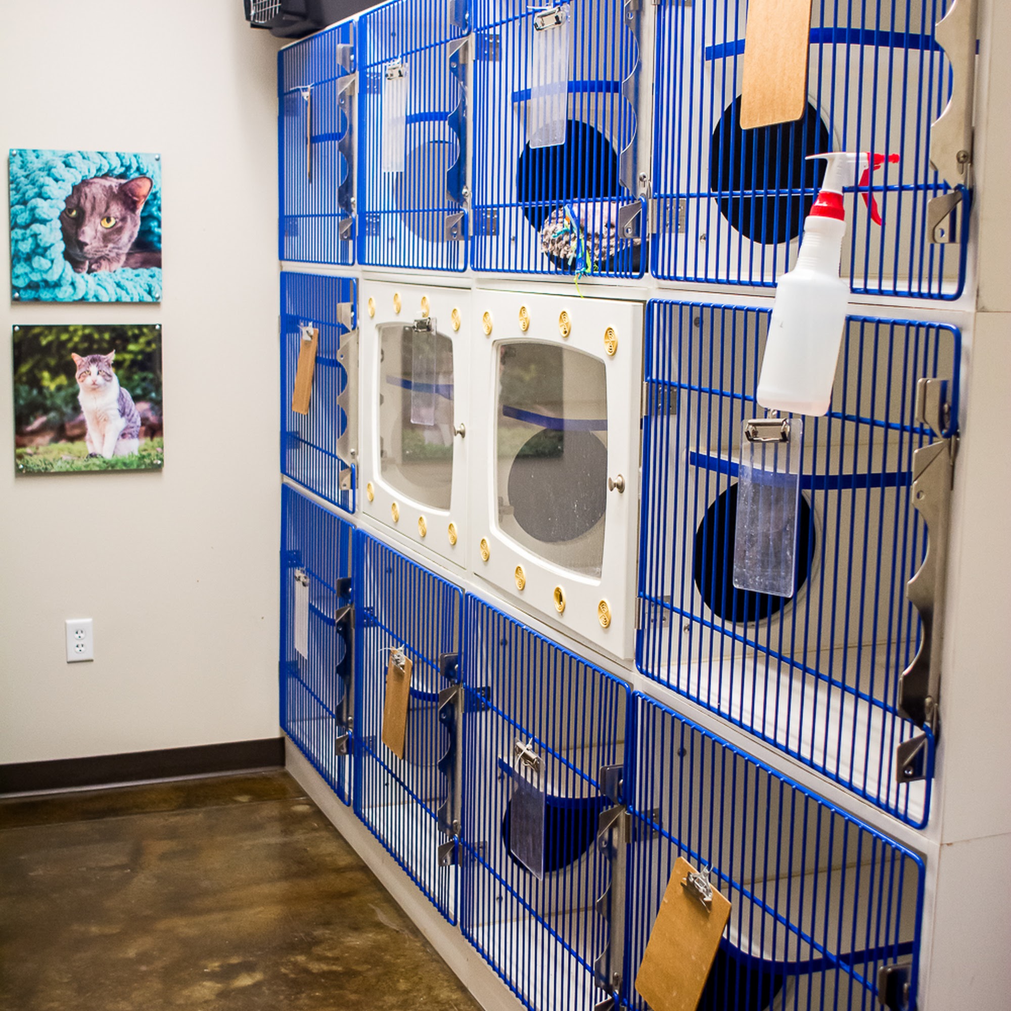 The Boulevard Veterinary Clinic North Little Rock