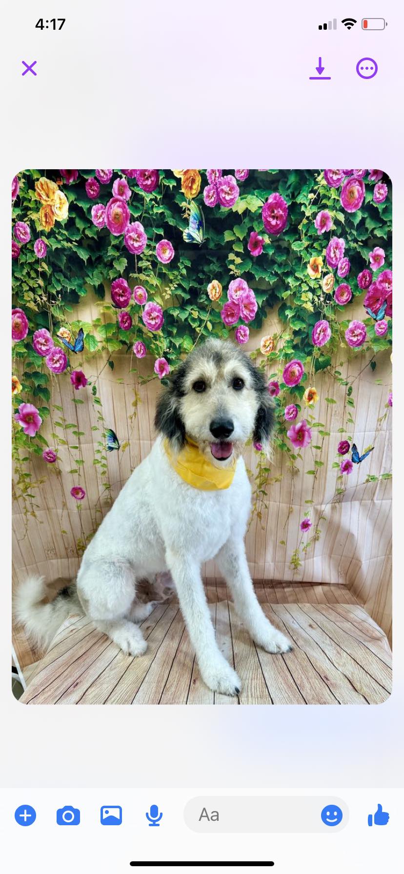 Photo credit: facebook