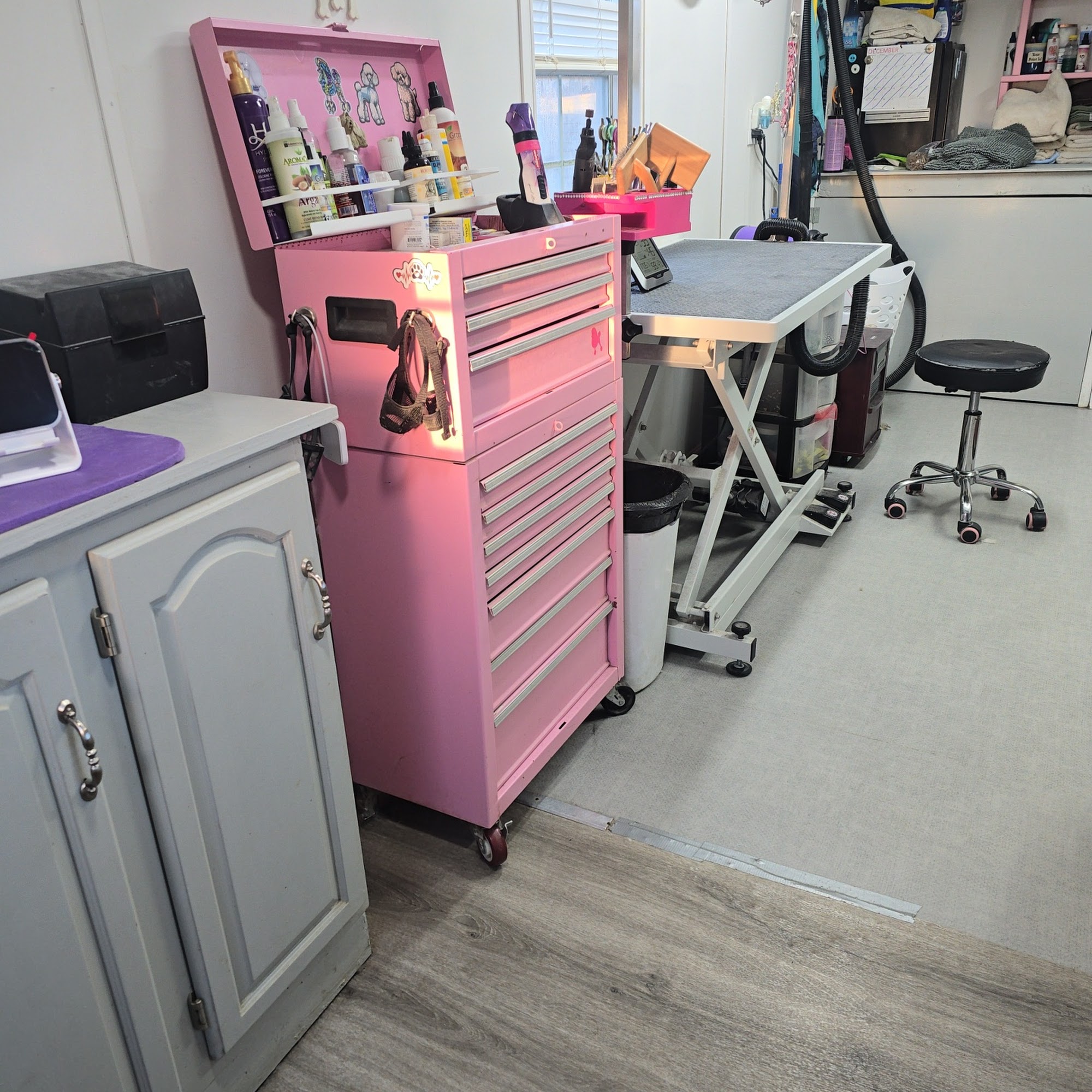 Simply fetching dog grooming Paris