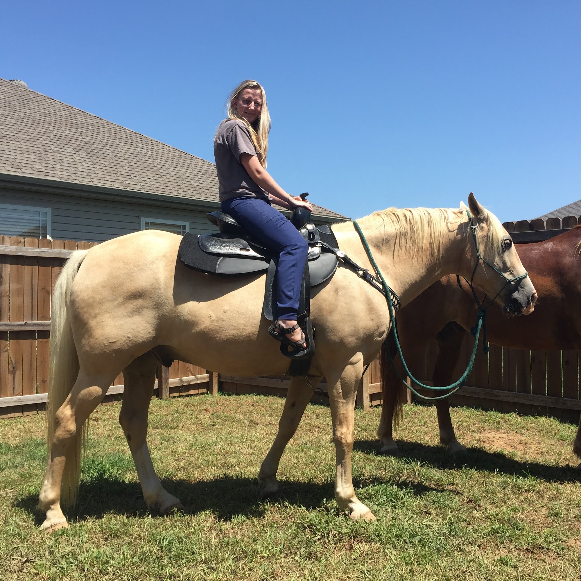 Pea Ridge Veterinary Clinic Pea Ridge