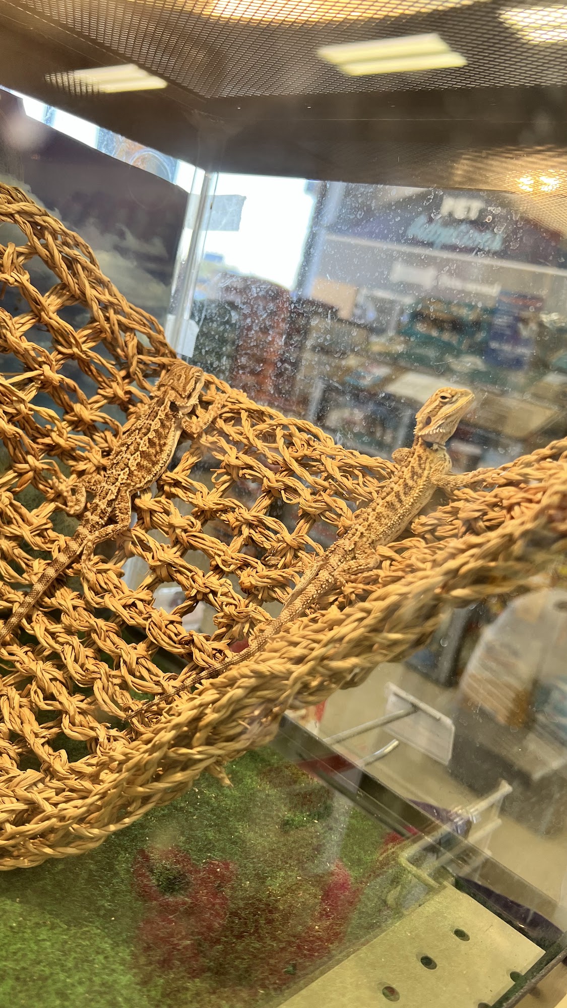 Petsense by Tractor Supply Pine Bluff