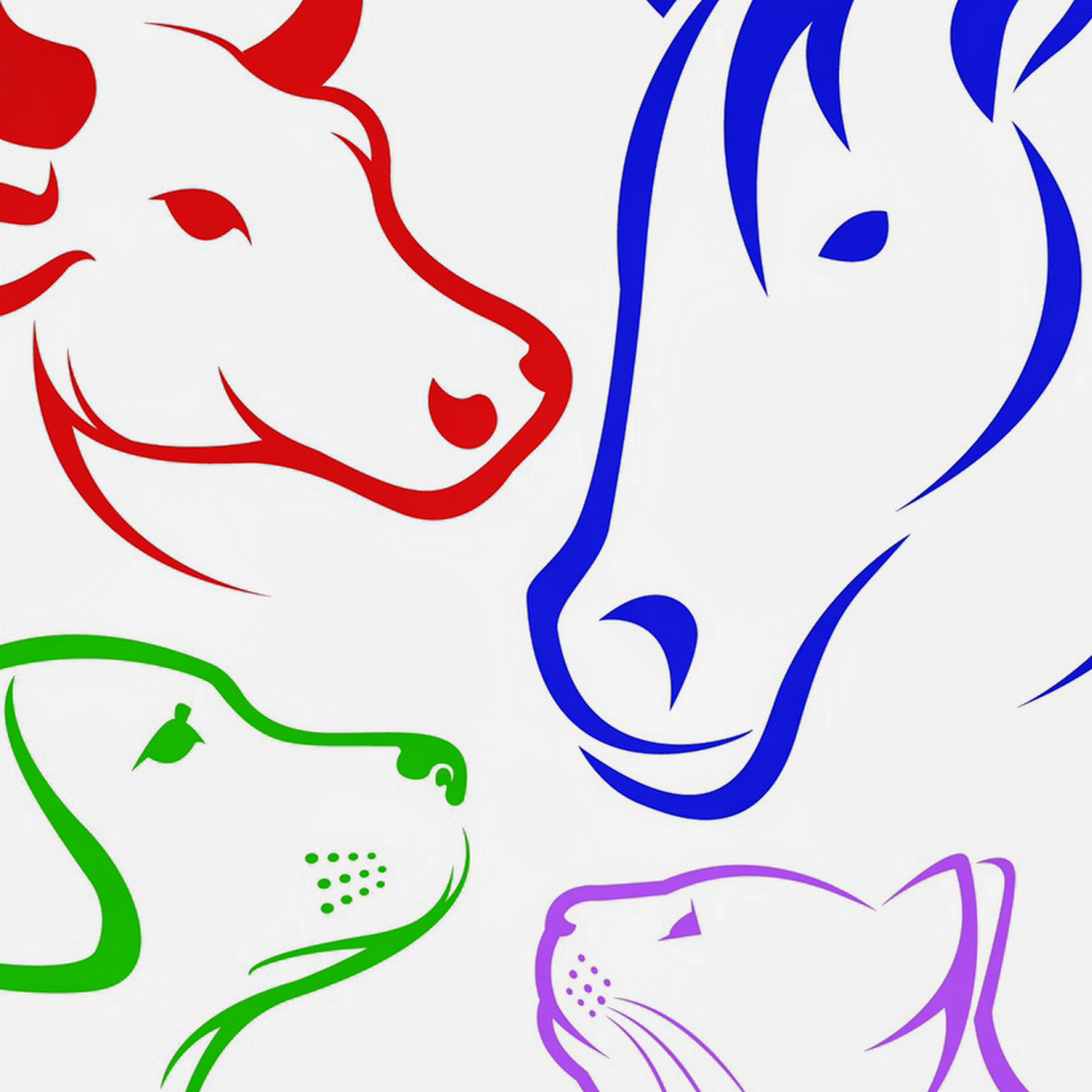 Randolph County Veterinary Pocahontas