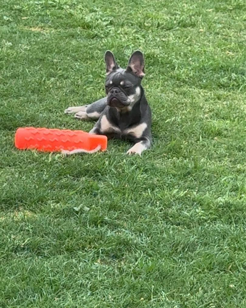 Black River Kennels, LLC Pocahontas