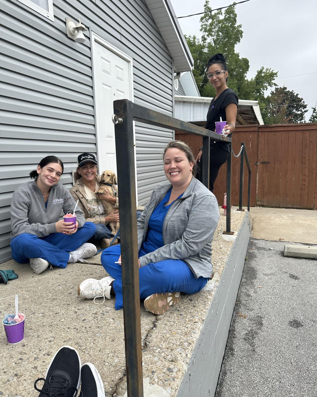 All Pets Animal Hospital Rogers Rogers