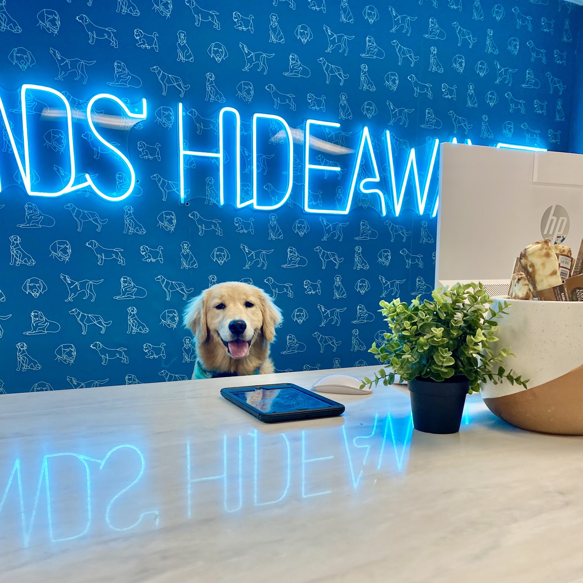 Hounds Hideaway Rogers