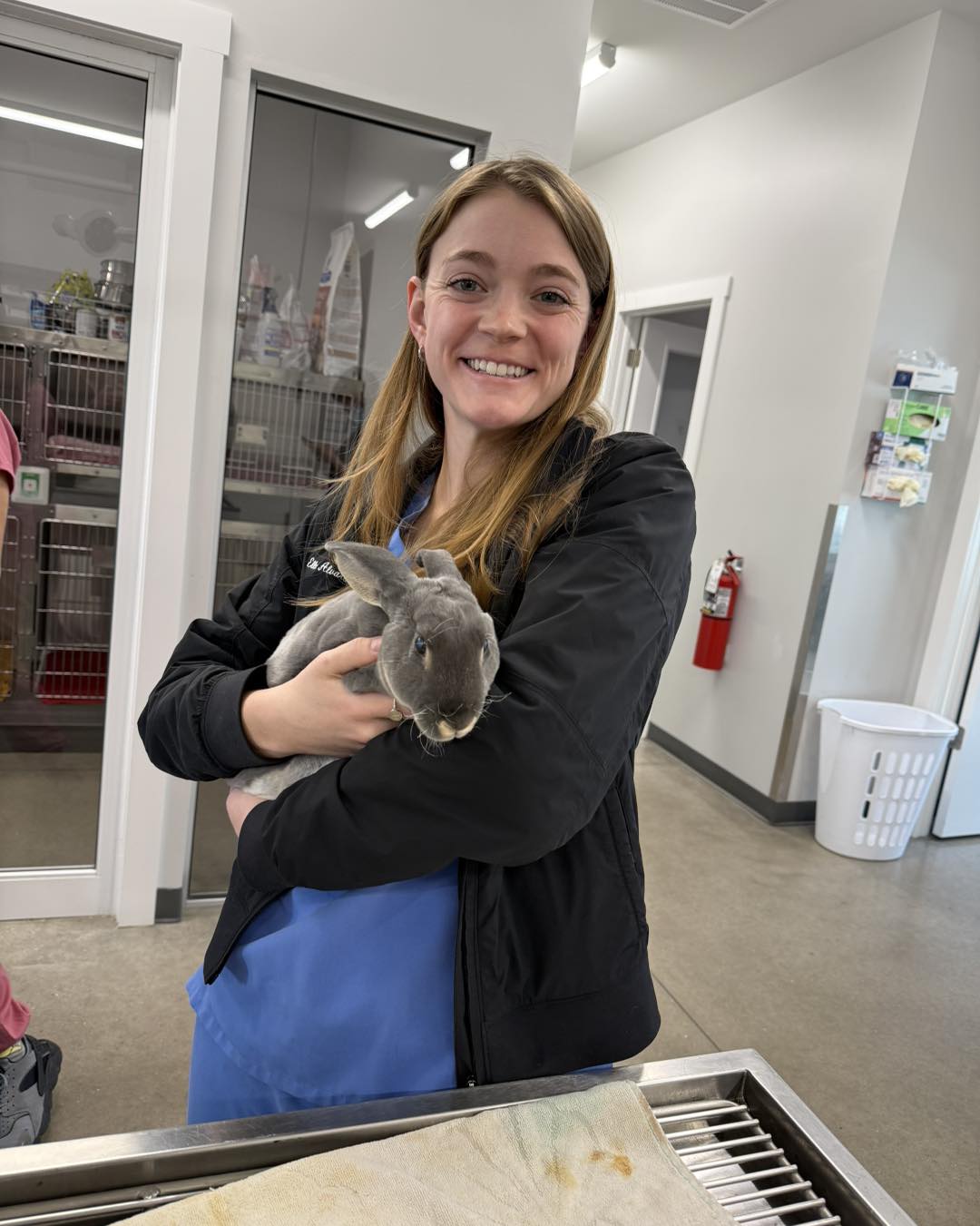 Animal Medical Center at Pinnacle Hills Rogers