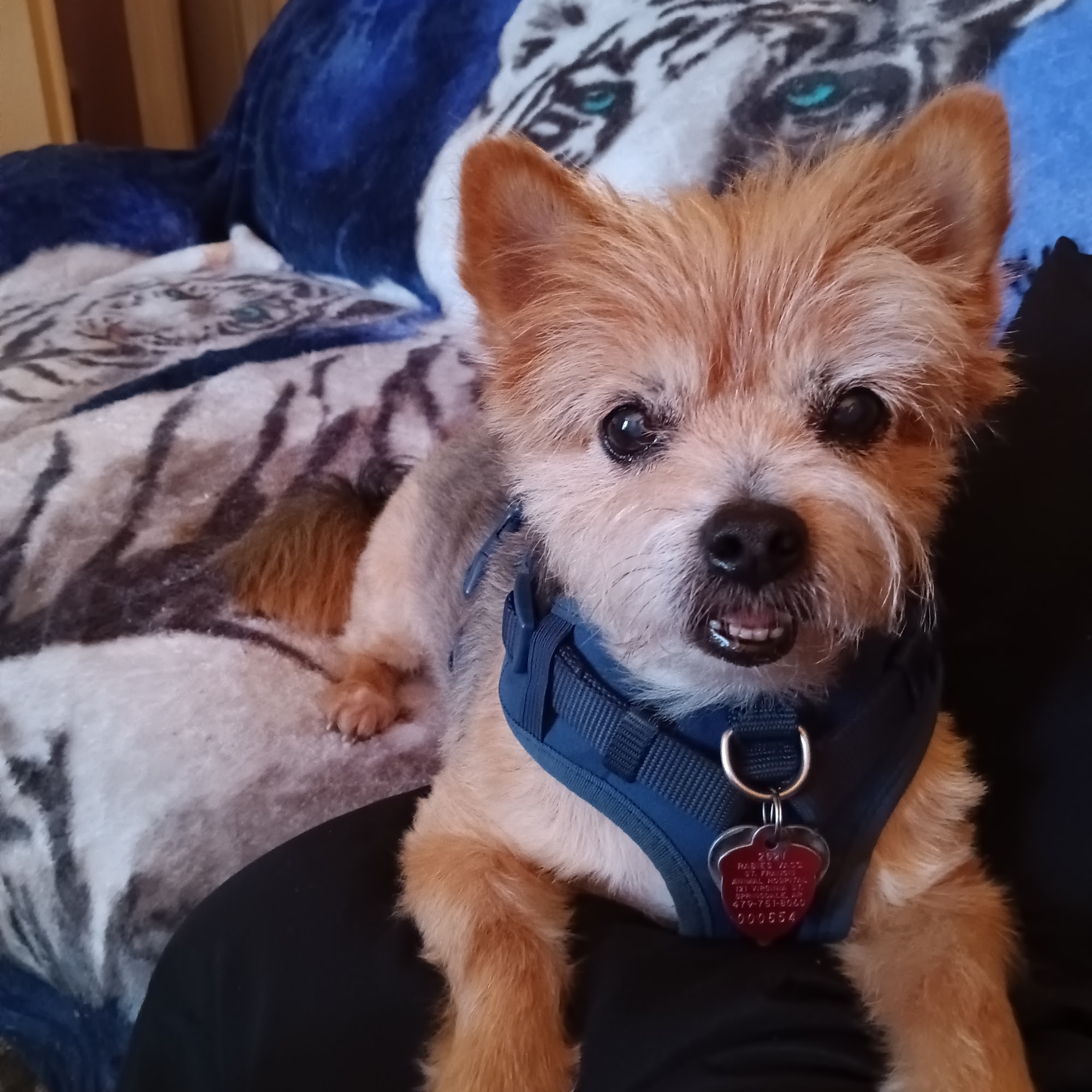 Vetco Total Care Animal Hospital Rogers