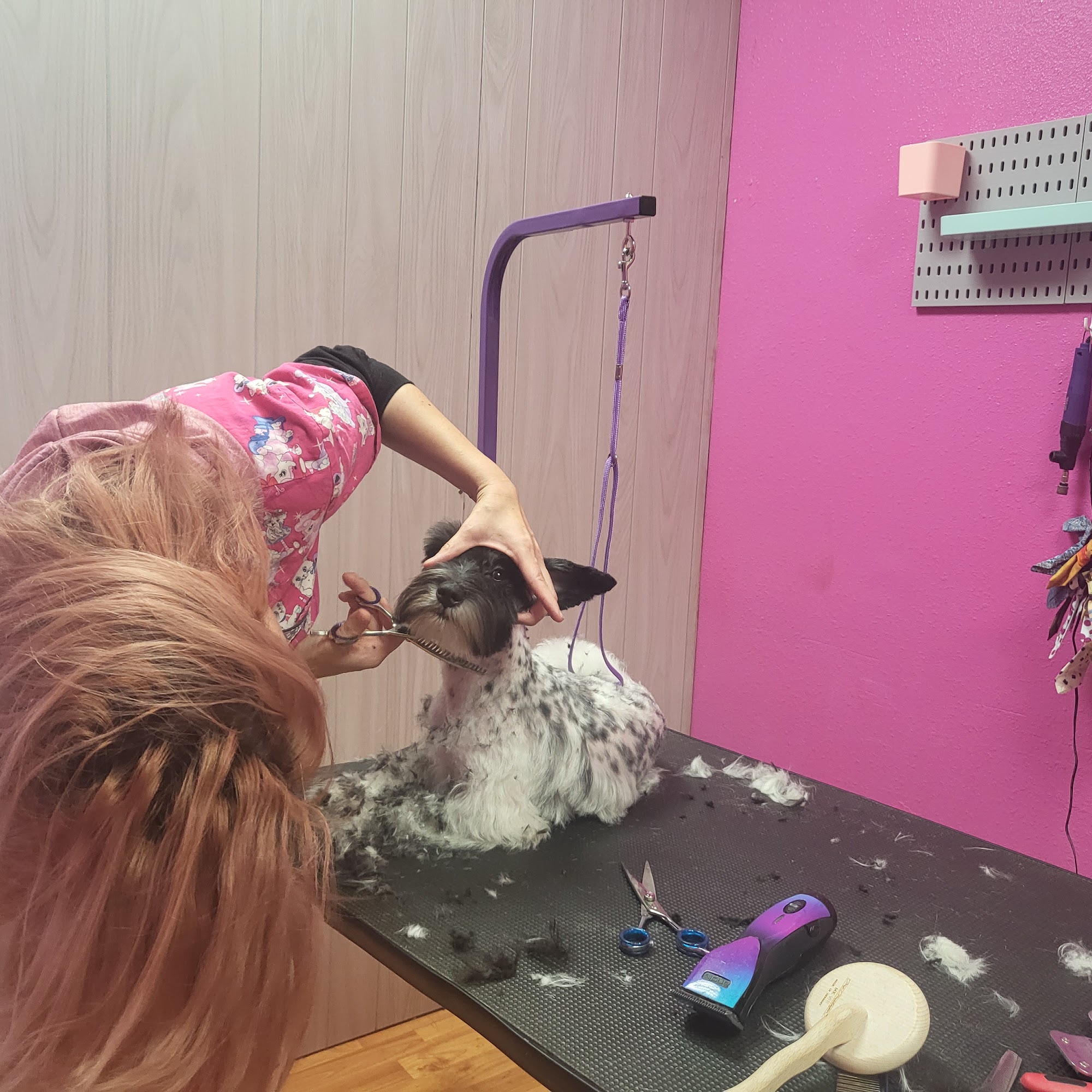 Scruffy 2 Fluffy Dog Grooming Rogers