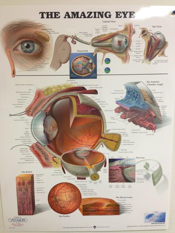 Beavers Eye Care