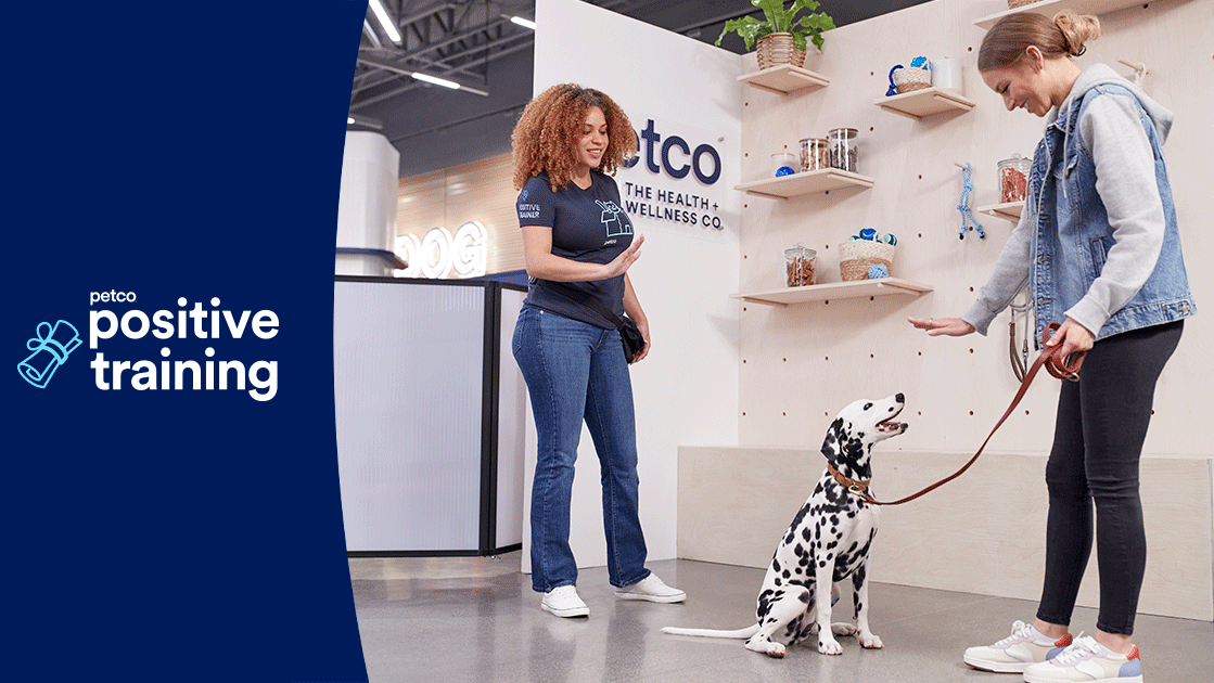 Petco Dog Training 4013 W Walnut St, Rogers Arkansas 72756
