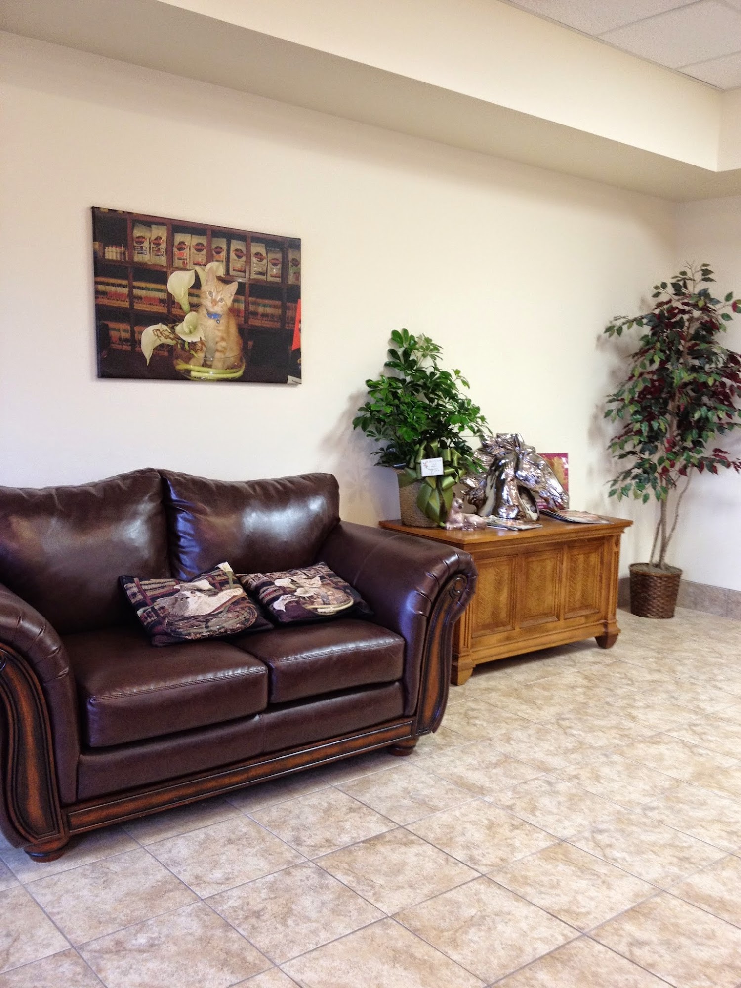 Arkansas Animal Care Clinic: Tena J Spencer, DVM Russellville