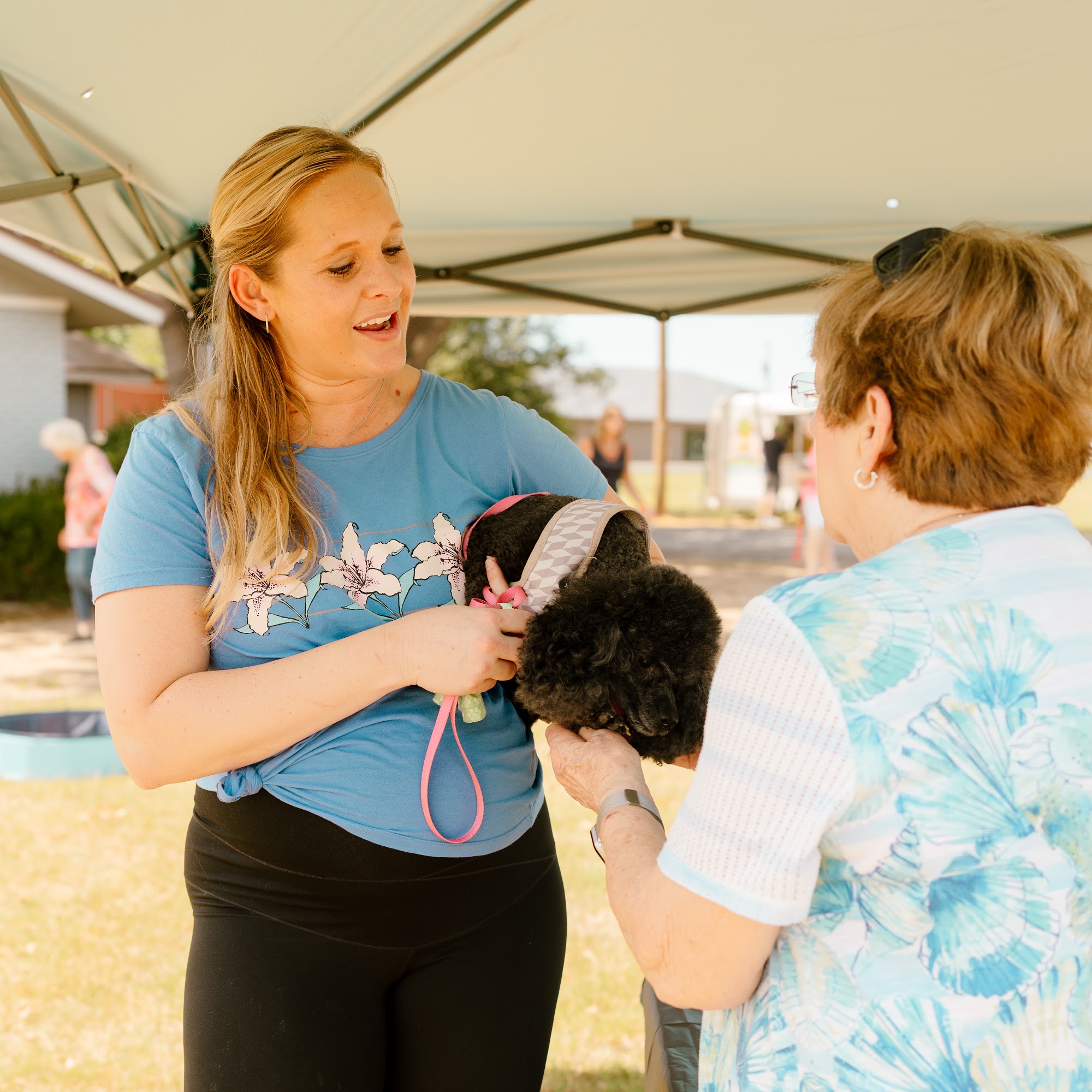 Central Arkansas Animal Hospital Searcy