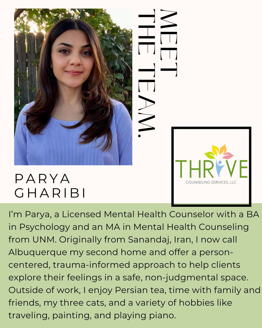 Thrive Counseling Services Llc