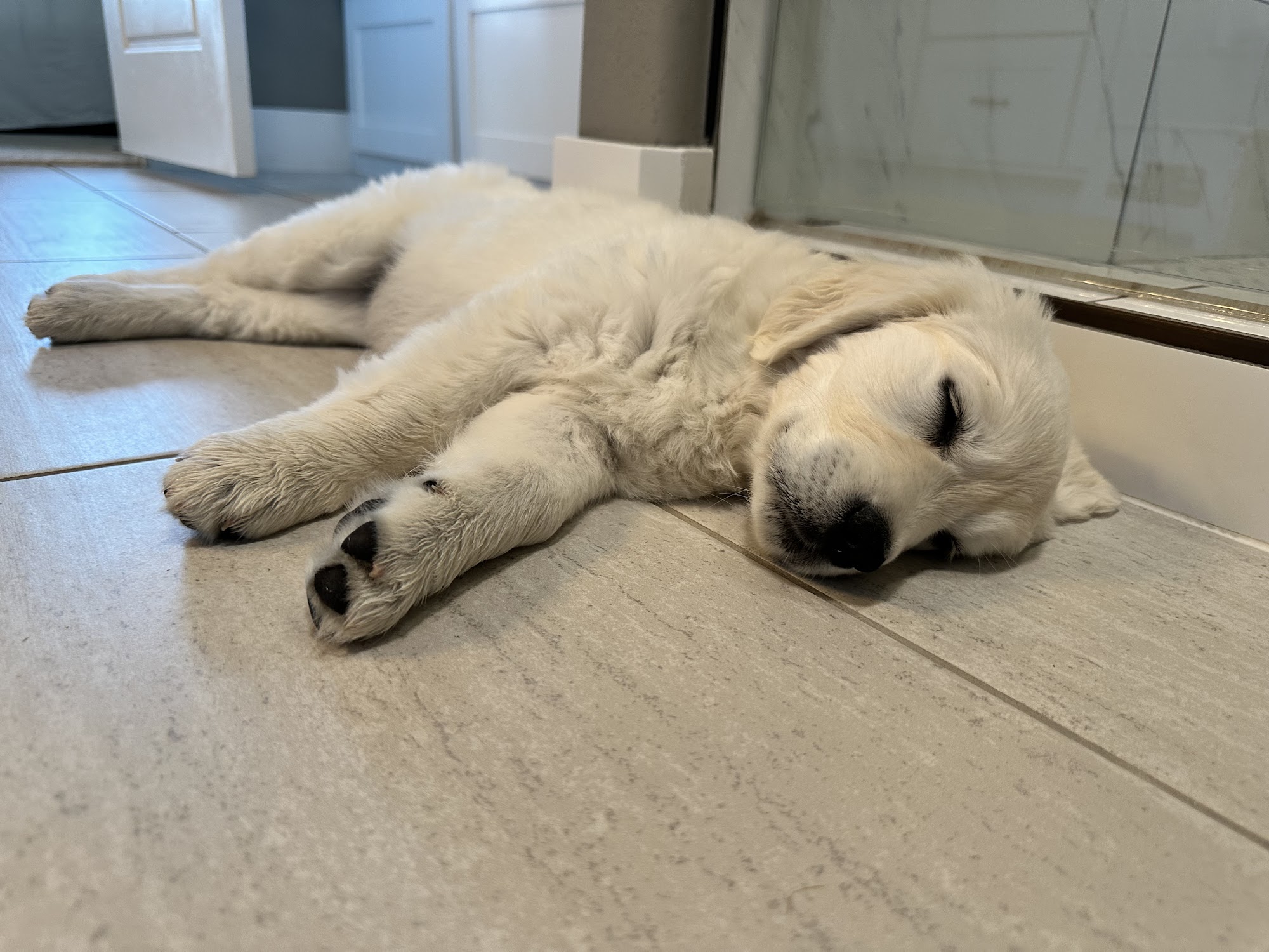 SunKissed Goldenz Siloam Springs