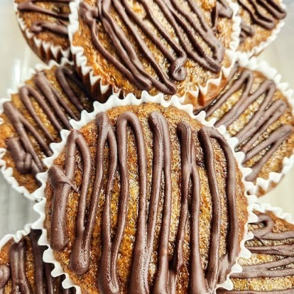 Trailside Coffee Company Springdale