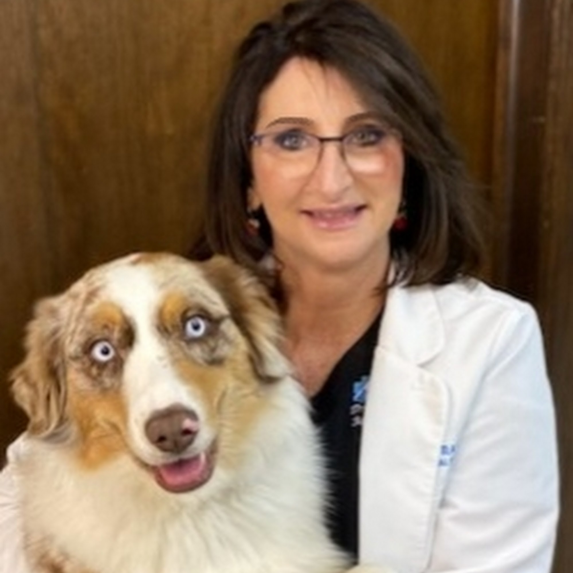 St Francis Animal Hospital Springdale