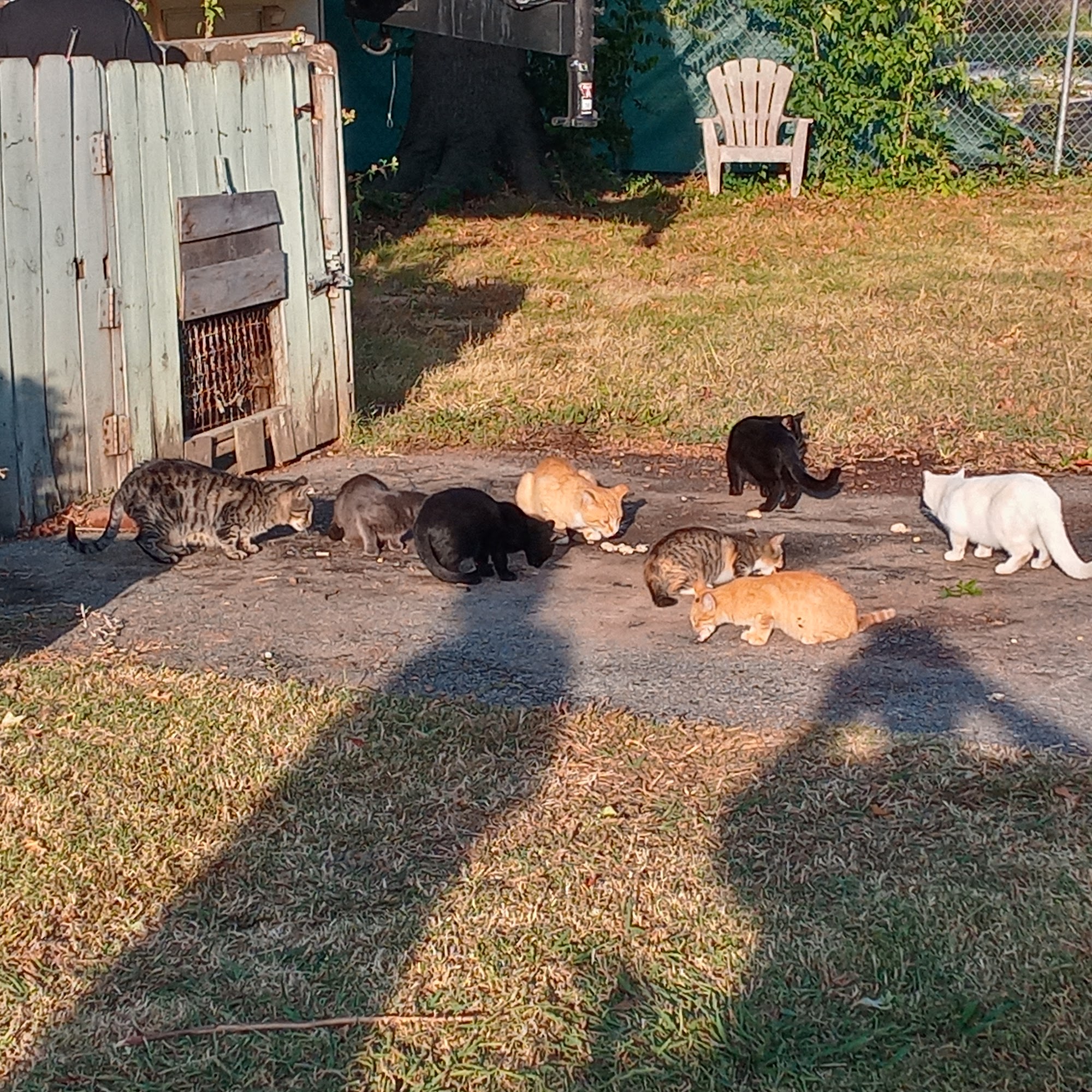 Woodridge Estates Mobile Home Park Springdale