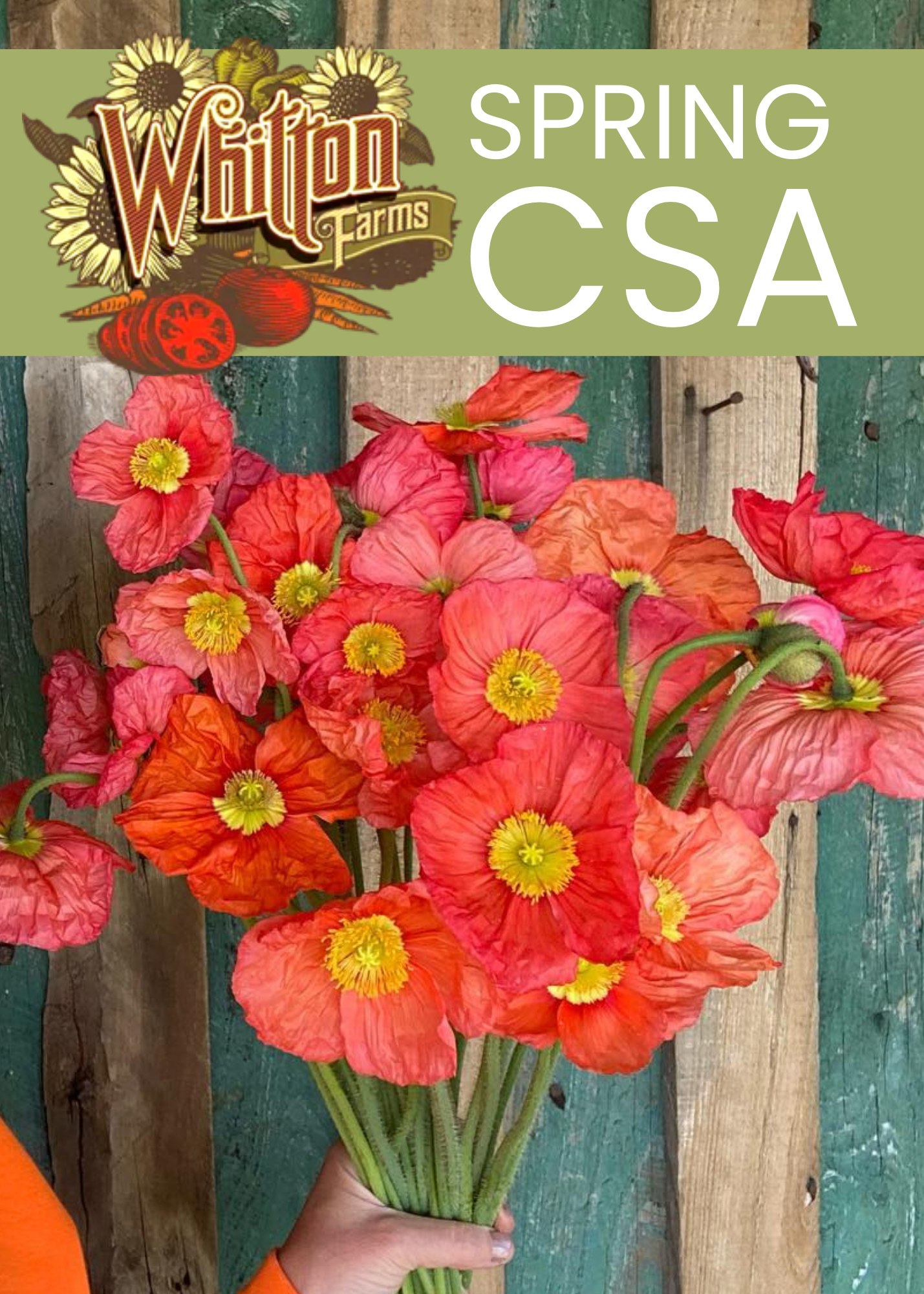 Whitton Farms Tyronza