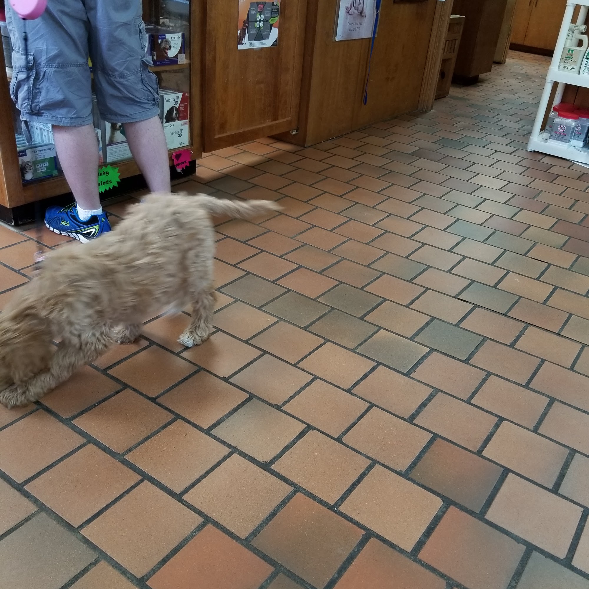 Broadfoot Veterinary Clinic Van Buren