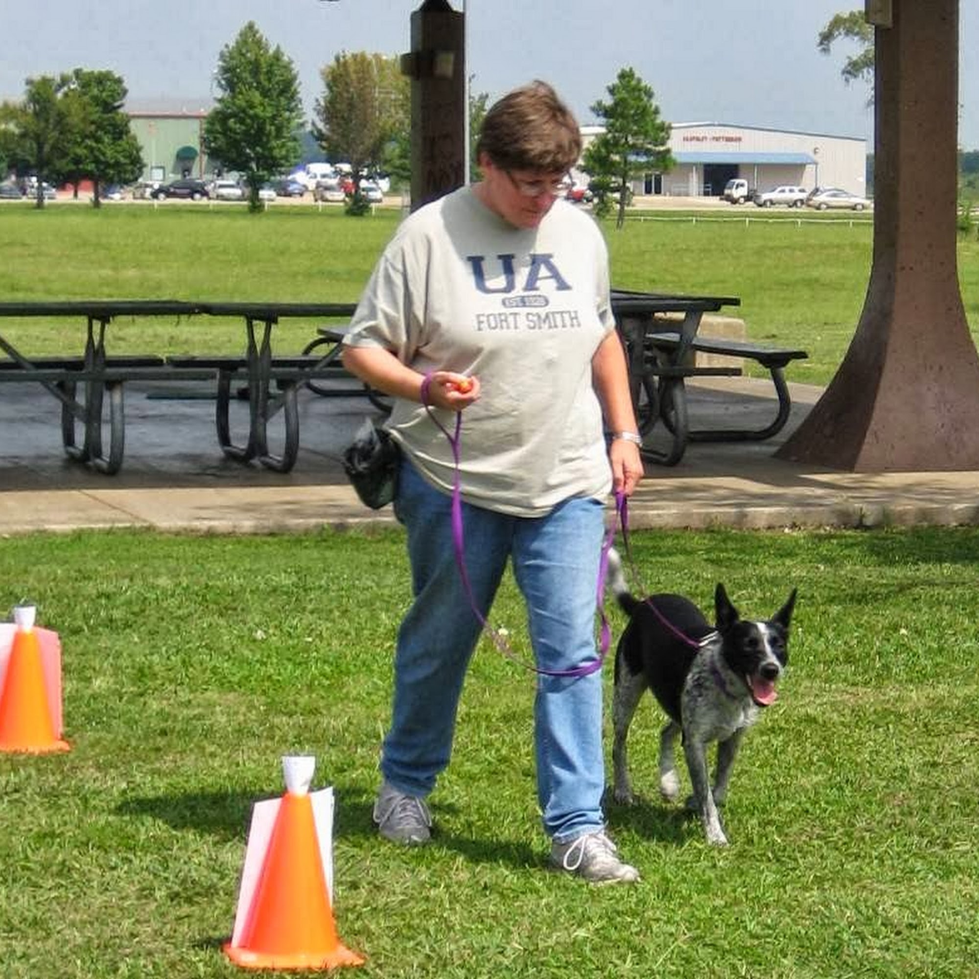 SMART DOGS Dog Training & Behavior Consultation Van Buren