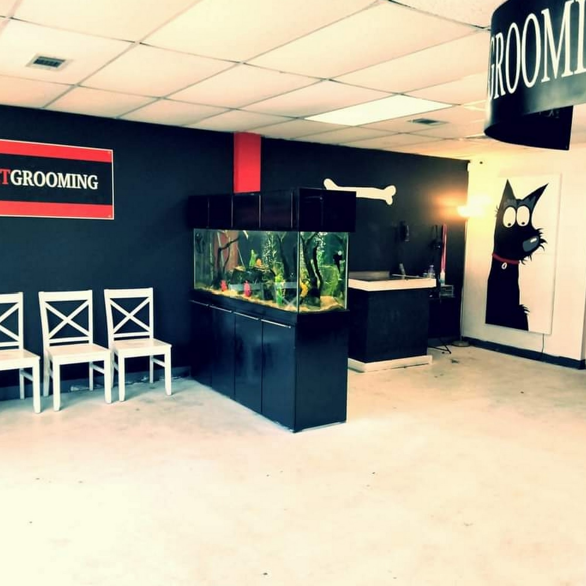 Rocket Grooming Salon Van Buren