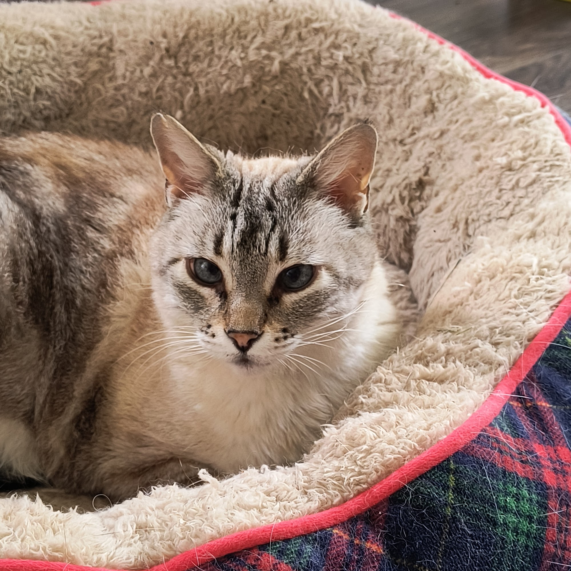 Smithers Animal Hospital West Fork