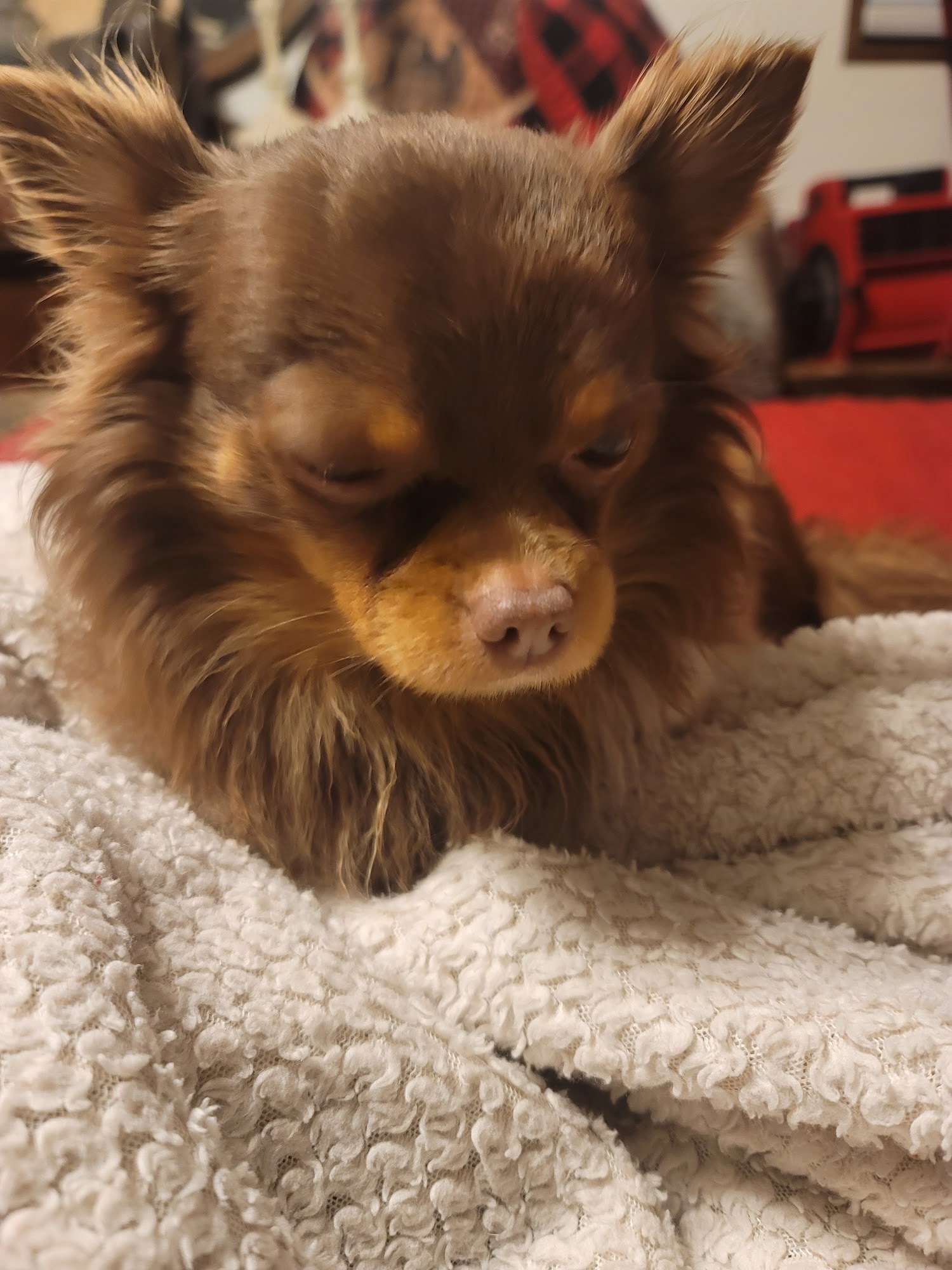 Cross County Veterinary Clinic Wynne