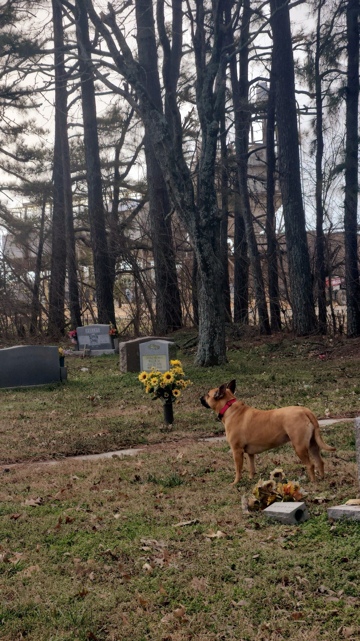 Kernodle Funeral Home Inc Wynne