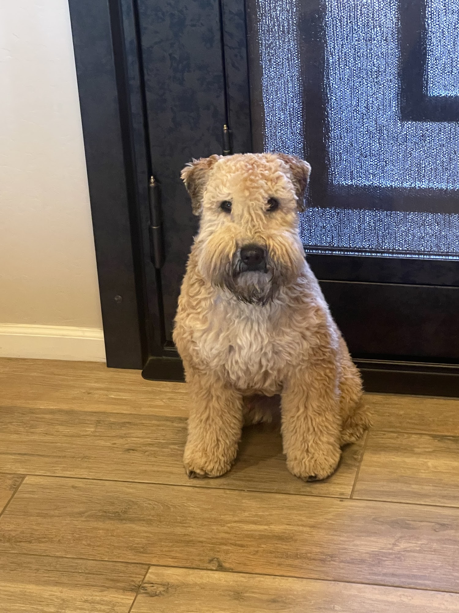 Daisy Mountain Veterinary Hospital Anthem