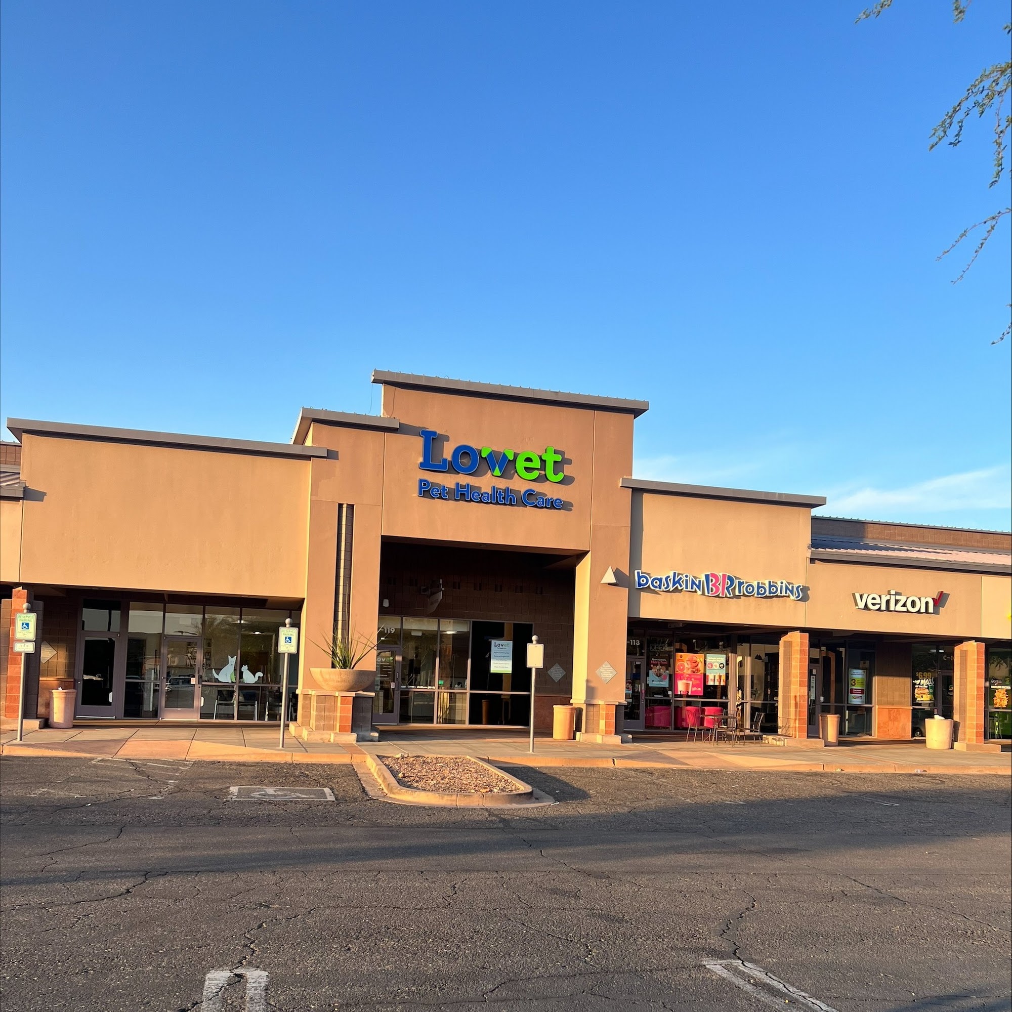 Animal Hospital at Anthem & Grooming Anthem