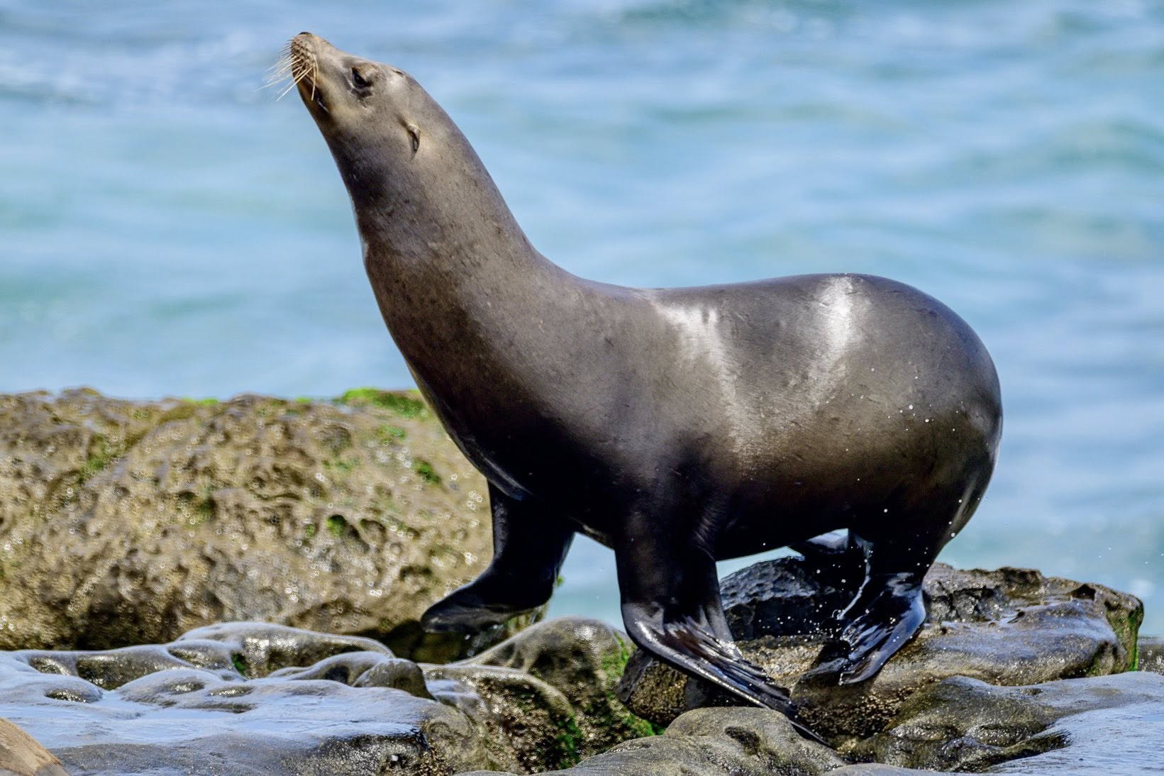 Dan Webb Photography