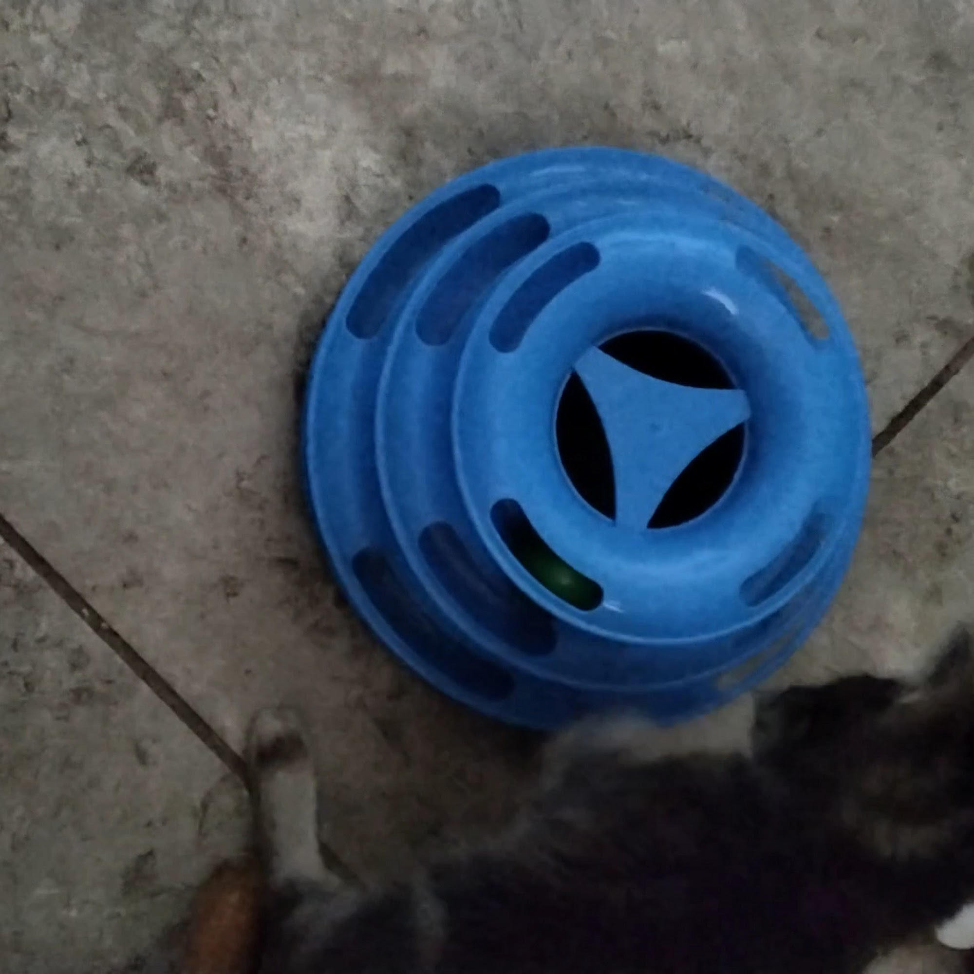 BluePearl Pet Hospital Avondale