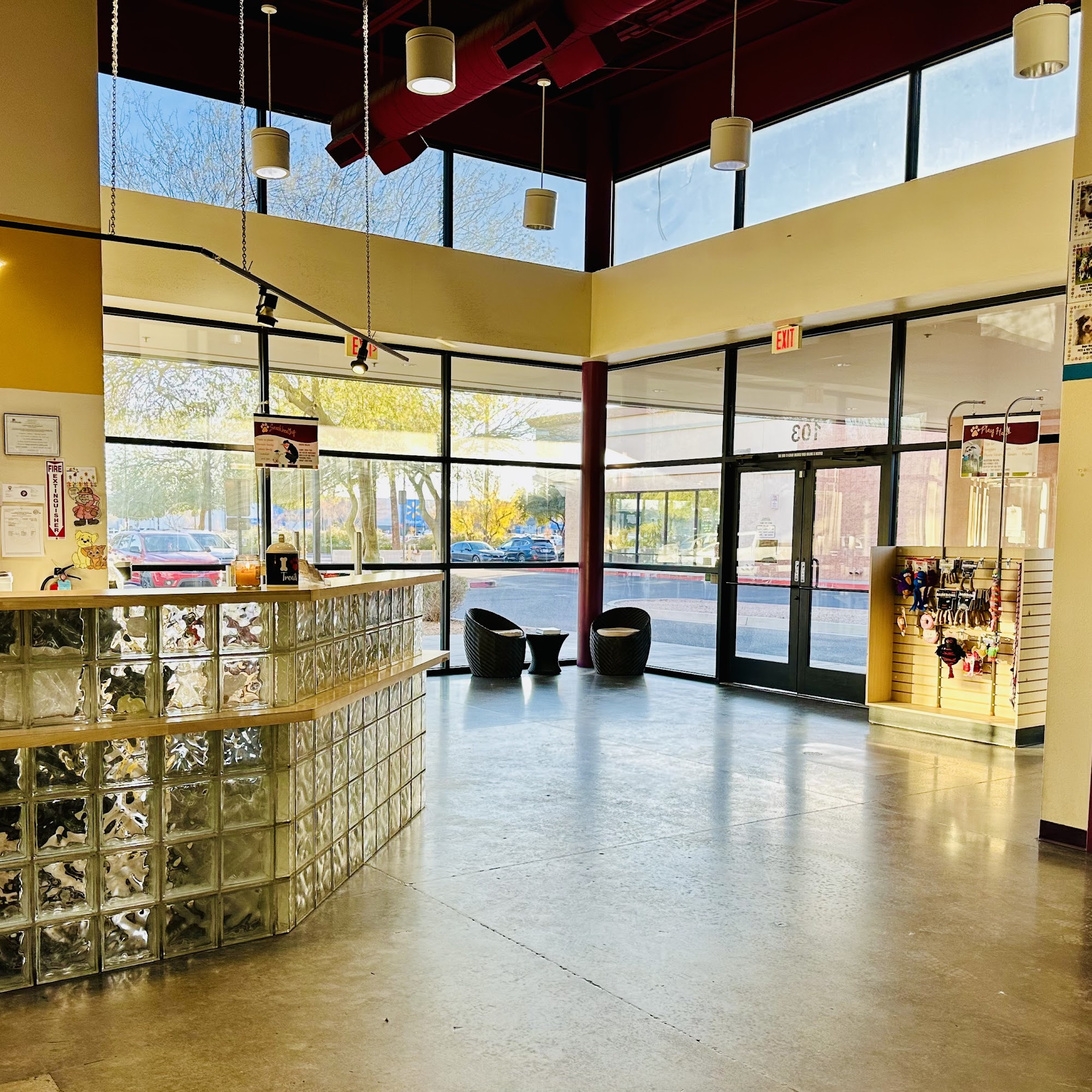 Pete and Mac’s Pet Resort Avondale