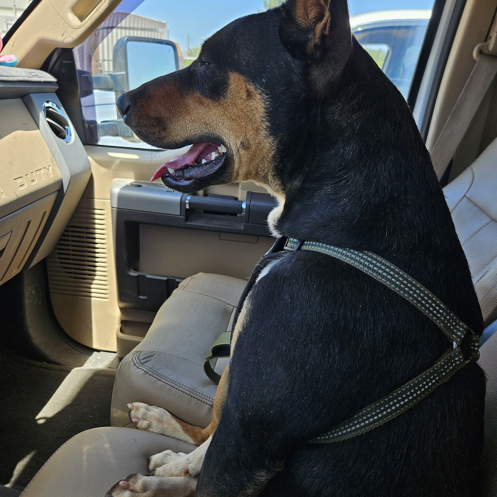 Benson Animal Hospital Benson