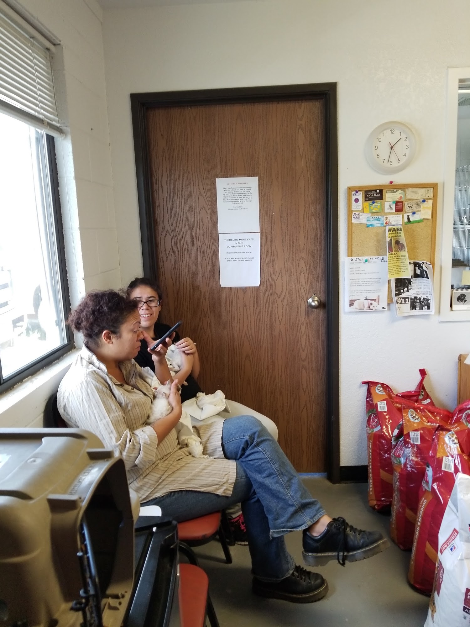 Bisbee Animal Shelter Bisbee