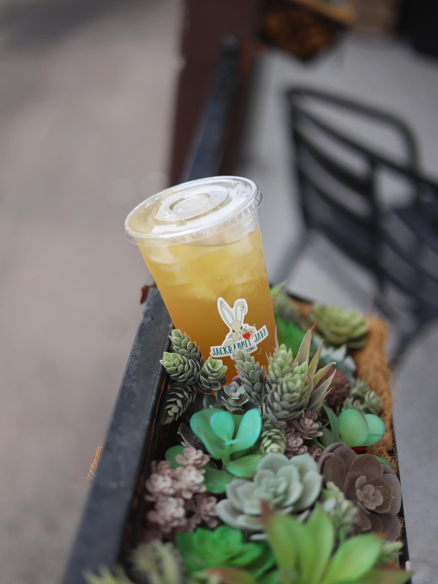 Jackrabbit Java Buckeye