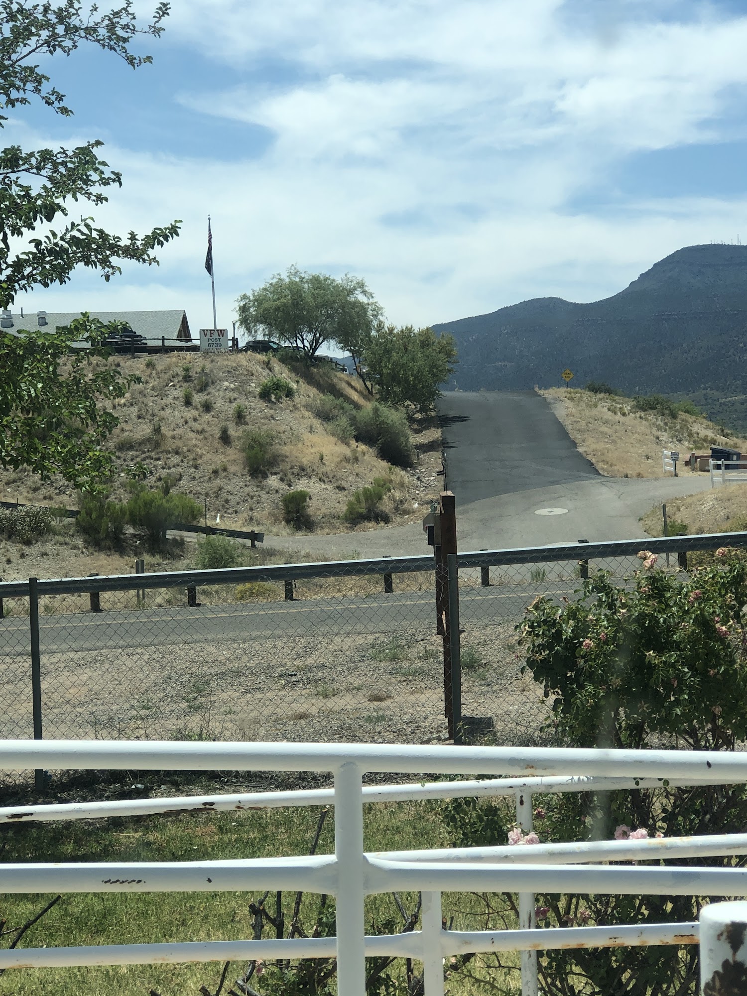 Holcomb Lana DVM Camp Verde