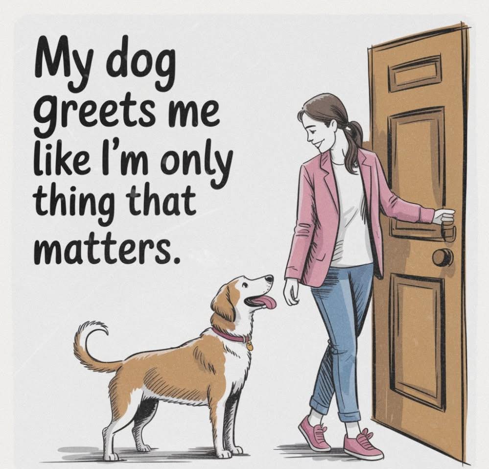 Hillside Canine Resort and Training Camp Verde