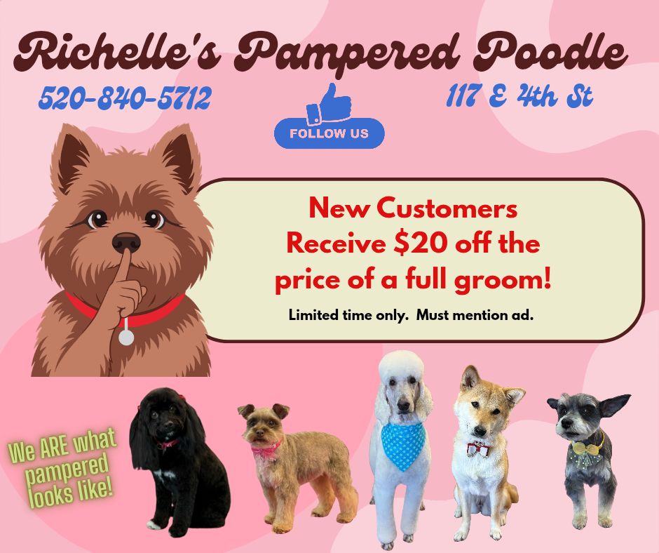 Richelle's Pampered Poodle Casa Grande