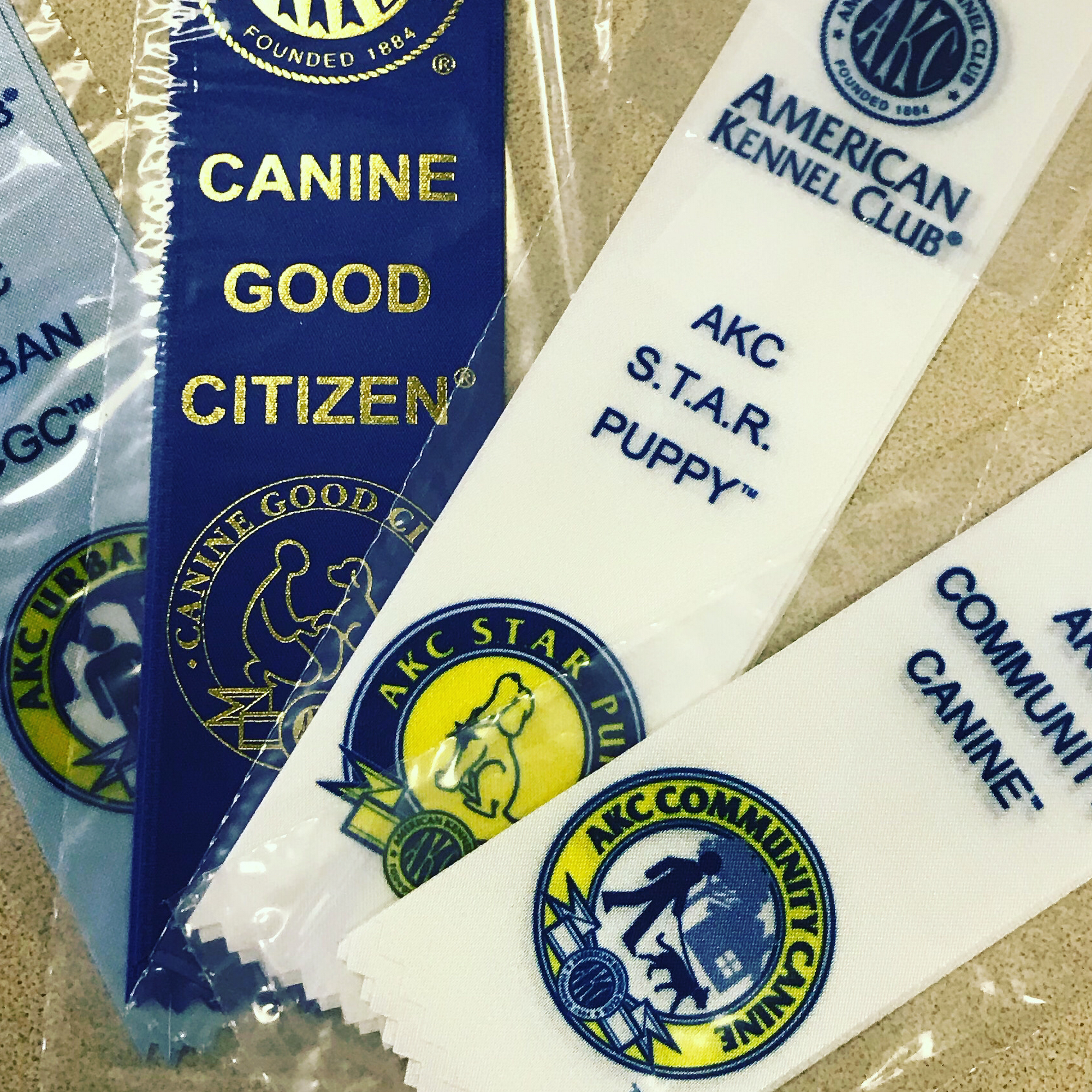 Danx To The Rescue Casa Grande